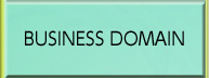 BUSINESS DOMAIN