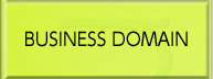 BUSINESS DOMAIN
