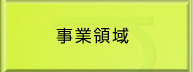 事業領域