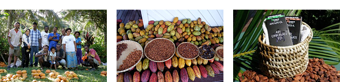 Chocolate Nouveau Fiji チョコレート ヌーボー フィジー