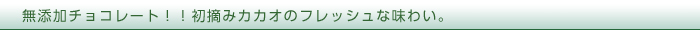 無添加チョコレート！！初摘みカカオのフレッシュな味わい。